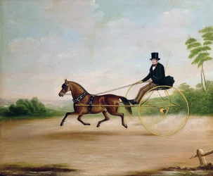 Studie eines Gentlemans in einer Kutsche